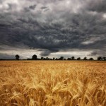 Climate change threatens food security 